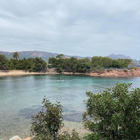 St Raphael 37M2, Piscine, Wifi, Commerces Mer 5Mn A Pieds Saint-Raphaël Exterior foto