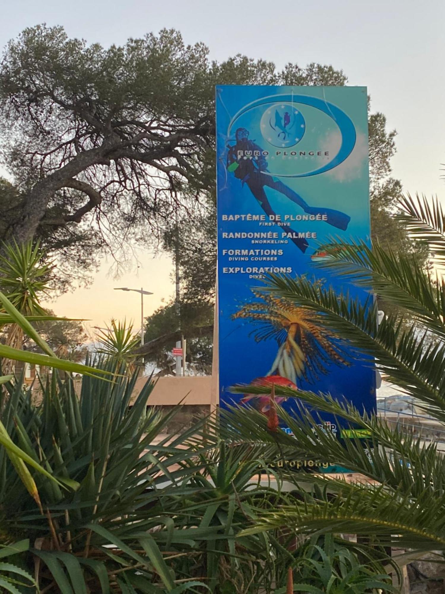 St Raphael 37M2, Piscine, Wifi, Commerces Mer 5Mn A Pieds Saint-Raphaël Exterior foto